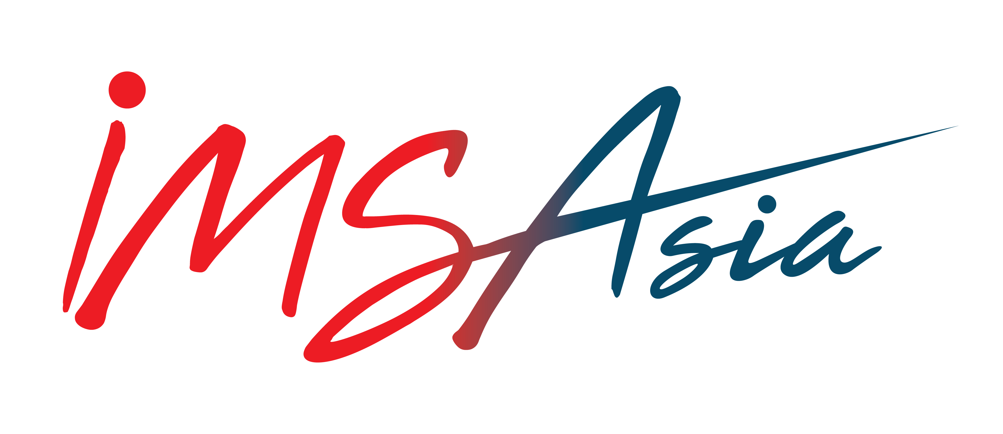 IMSA logo m